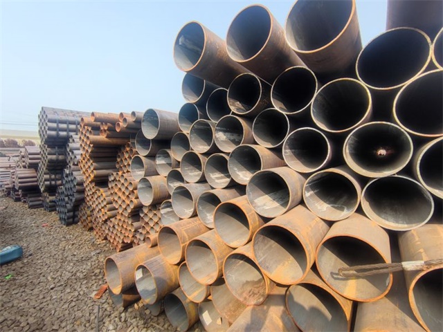 IMG_20230401_153131.jpg IMG_20230401_153131.jpg